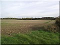 The Ivanhoe Way crosses a field towards Shilcraft Wood