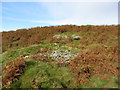 SO0800 : Remains of Forest Chapel on Mynydd y Capel by Gareth James