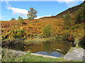 Remains of the Troedyrhiw lido