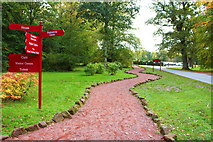 NS5320 : Path, Dumfries House Estate by Billy McCrorie