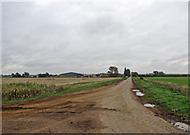 TL4181 : A bend in Long North Fen Drove by John Sutton