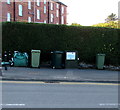 Shades of green in front of an Idris Villas hedge, Tywyn