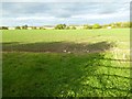 Farmland near Pasford