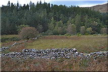 NM7472 : Derelict field, Glen Moidart by Nigel Brown