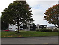 Autumn colours, Greenmeadow Way, St Dials, Cwmbran