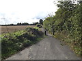TM0991 : Wymondham Road Cycleway to New Buckenham by Geographer