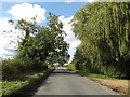 TM0995 : Bunwell Road, Besthorpe by Geographer