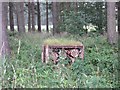 Bug Hotel, Forfar Golf Course, 5th hole