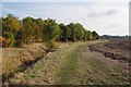 Footpath to Foxhall Farm