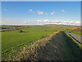 The Landsker near Bigws, Ambleston