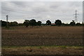 Across the stubble from Littlethorpe Lane, Thorpe on the Hill