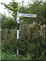 TM1093 : Signpost on Hall Road by Geographer