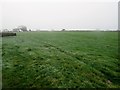 Field south of Sleights Farm