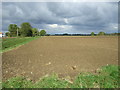 Field beside Green Lane