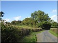 Lynch Lane between Haynall and Little Hereford