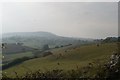 Farmland near Bettiscombe Manor House