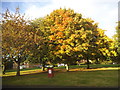 Green on Angelica Road, Bisley