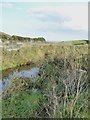 The River Menalhyl behind Mawgan Porth beach