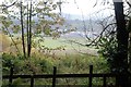 Cleanbrae Fence