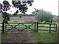 Field entrance off Chediston Street (B1123)