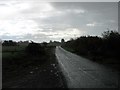 The lane across Skinburness Marsh