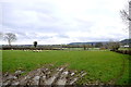 View Towards Ham Hill Across the Valley of the River Parrett