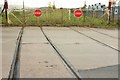 Level crossing gates, King