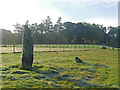 Standing stone at Windhill