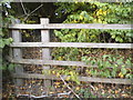 Fence on Chequers Lane, Bricket Wood