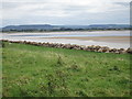 The River Severn and Frocester Hill