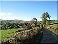 A lane heading for Cowshill