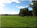 Farmland near Bartons Farm