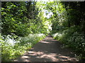 Railway walk passing Finchfield