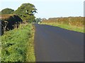 The road from Armathwaite to Wetheral