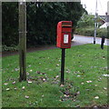 Elizabeth II postbox on Hillside Road East, Bungay