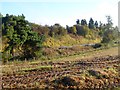 Settle and Carlisle railway near Ducowfold Farm