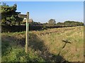 Footpath junction near Haxey Carr