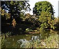 Pond at New Place Mill