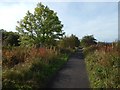 Cycle path above Gibshill