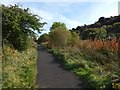 Cycle path above Gibshill