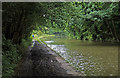 Very muddy towpath along the Leeds and Liverpool Canal