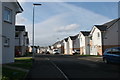 New houses, Nitshill