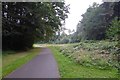 Path onto Southampton Common