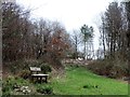 Brede High Woods and Lone Barn Cottage