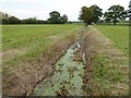 SO8541 : Drainage ditch near Ryall Court Farm by Philip Halling