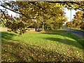 Autumn colour on the Guarlford straight