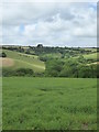 Field above Trethem Mill