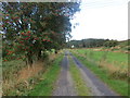 Track from Meikle Creoch farm to Mote Knowe and road