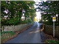 Minor road to Coldingham Loch