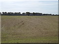 TG0723 : Farmland off Kerdiston Road by Geographer